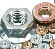 Flange Nuts Stainless Steel